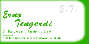 erno tengerdi business card